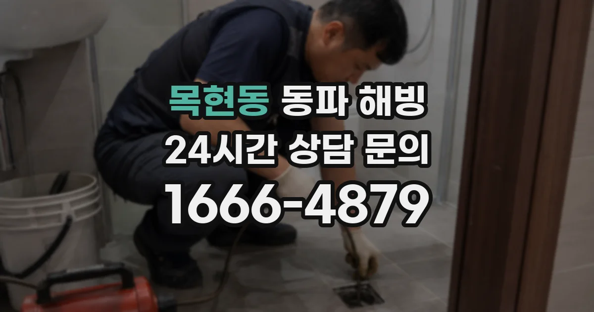 목현동 동파 해빙
