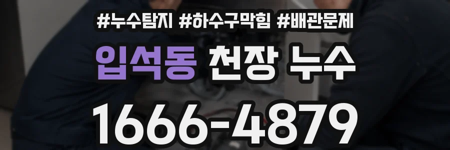 입석동 천장 누수