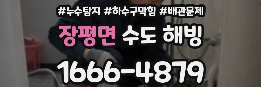 장평면 수도 해빙