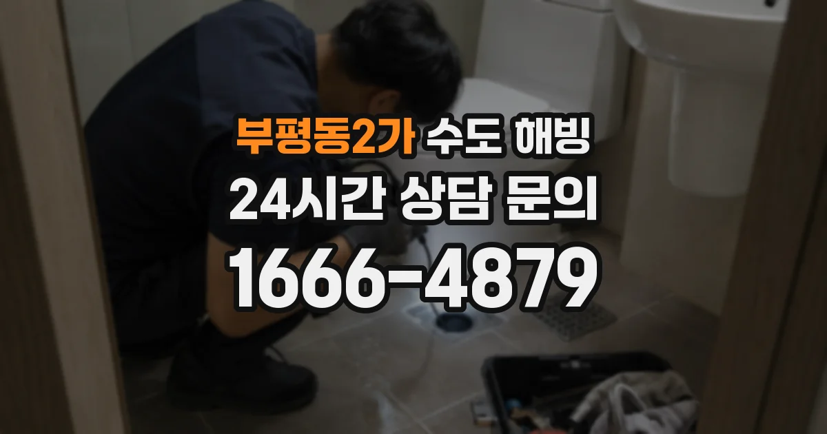 부평동2가 수도 해빙