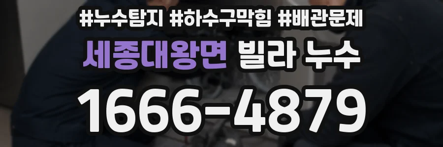 세종대왕면 빌라 누수