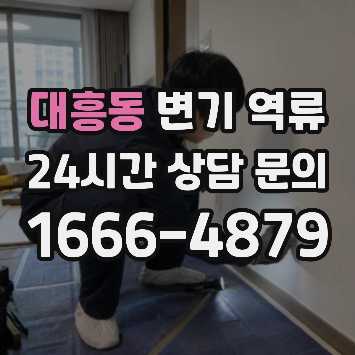 대흥동 변기 역류