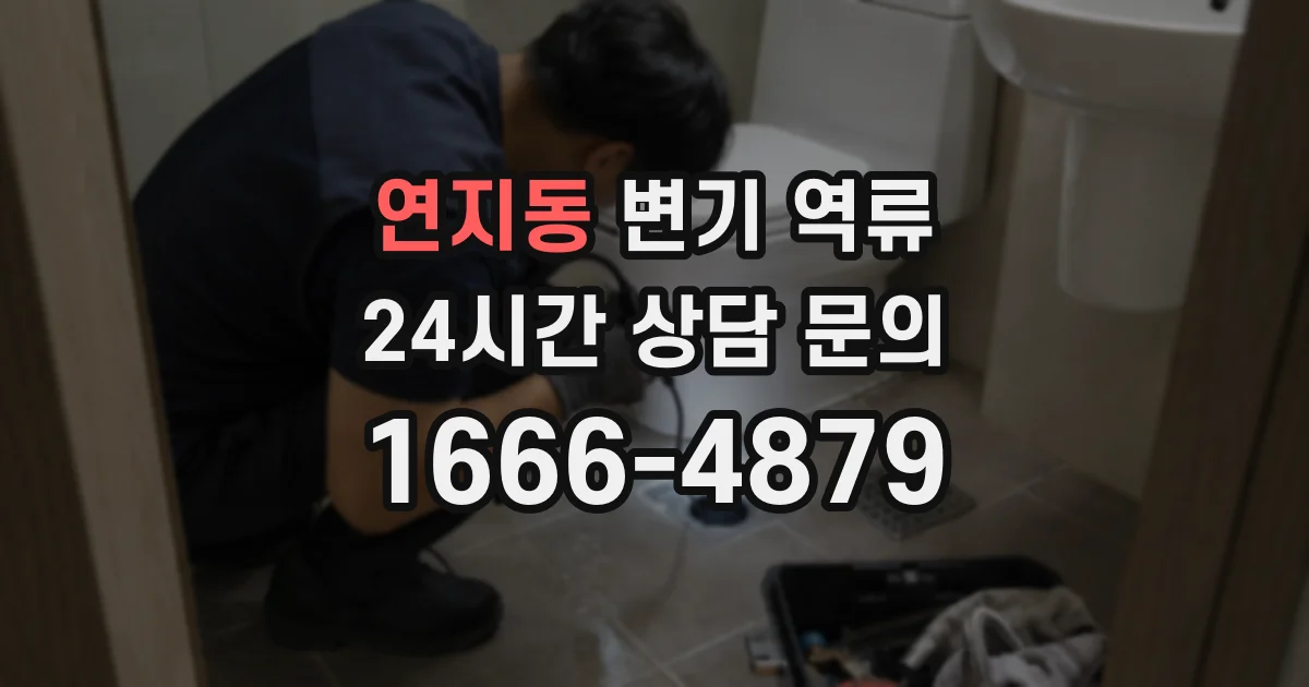 연지동 변기 역류