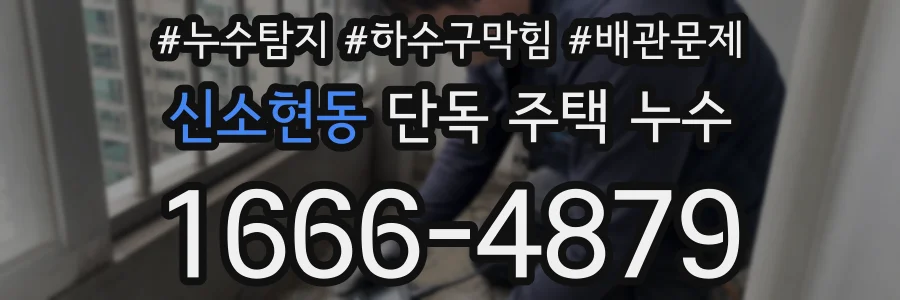 신소현동 단독 주택 누수