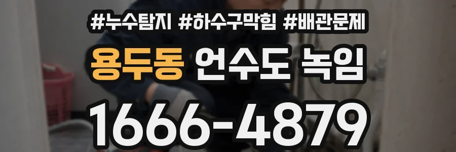 용두동 언수도 녹임