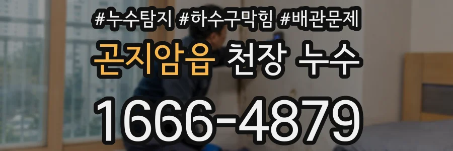 곤지암읍 천장 누수