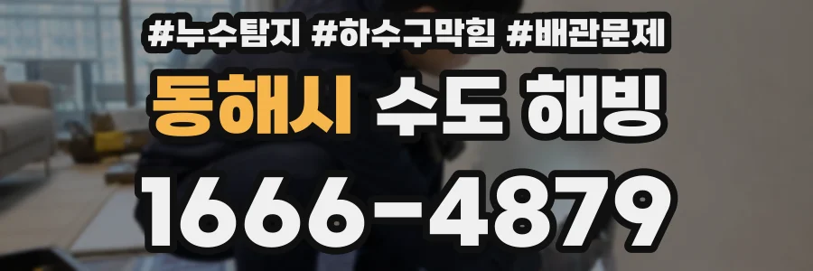동해시 수도 해빙