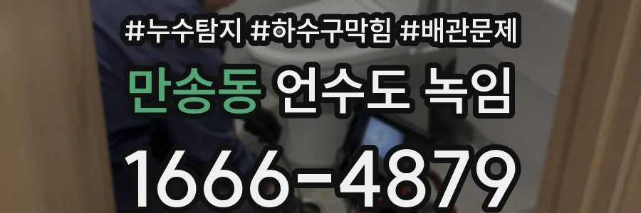 만송동 언수도 녹임