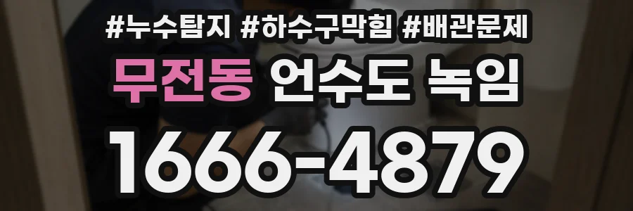 무전동 언수도 녹임