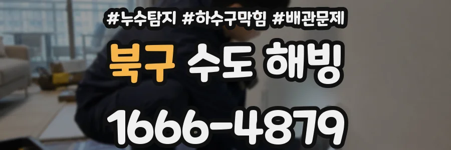 북구 수도 해빙