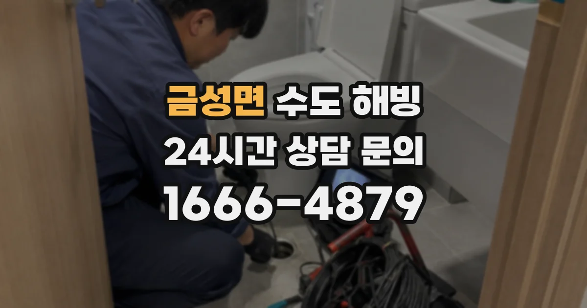 금성면 수도 해빙
