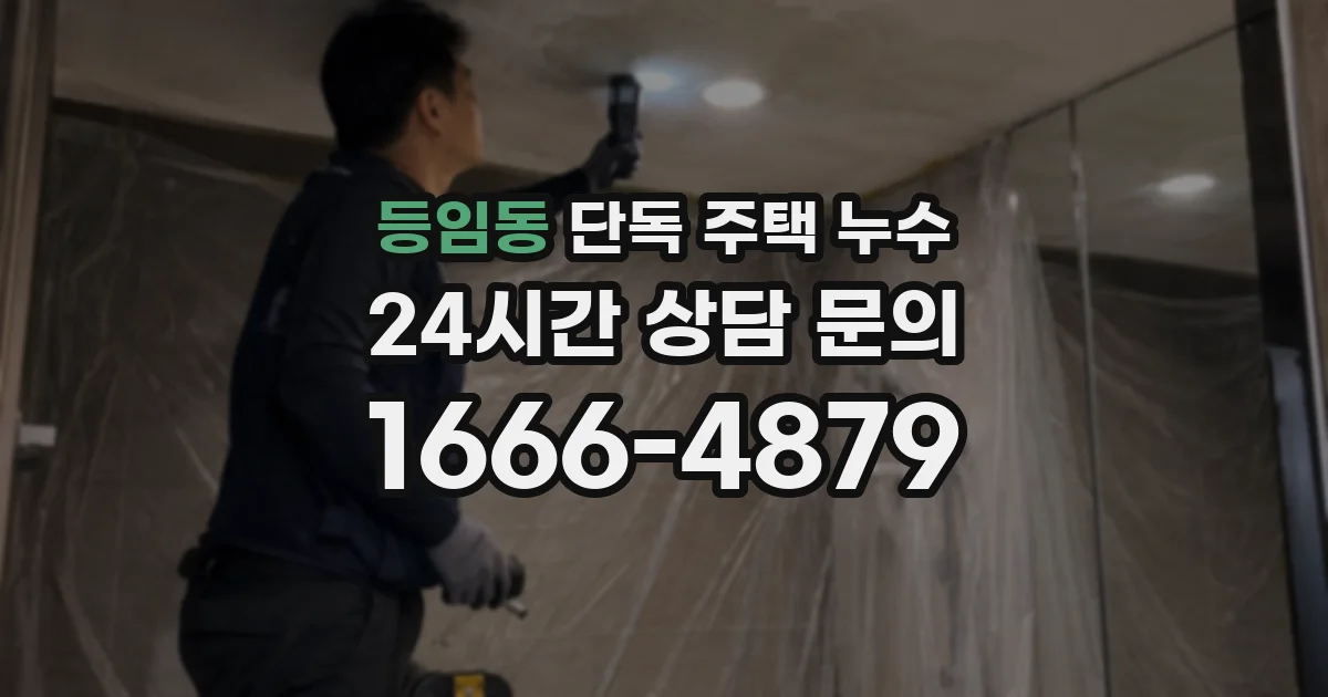 등임동 단독 주택 누수