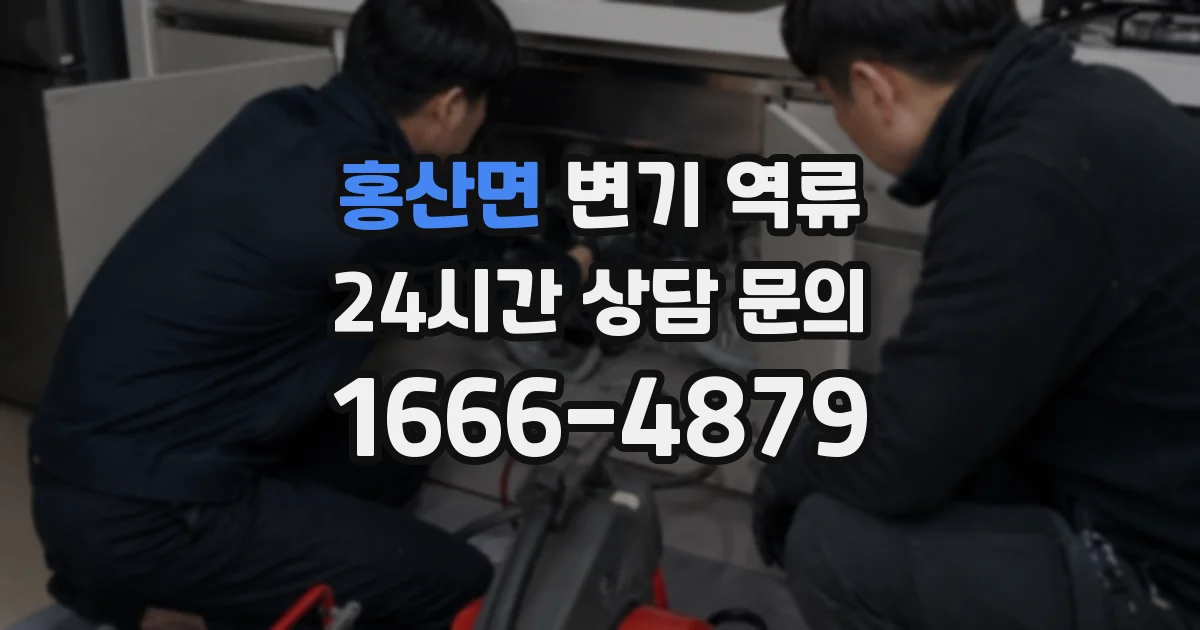 홍산면 변기 역류