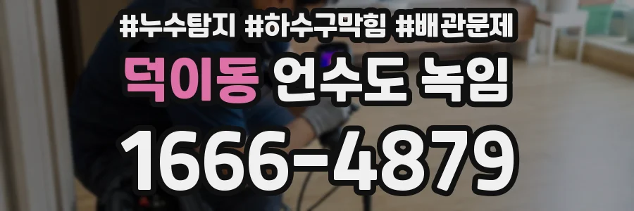 덕이동 언수도 녹임