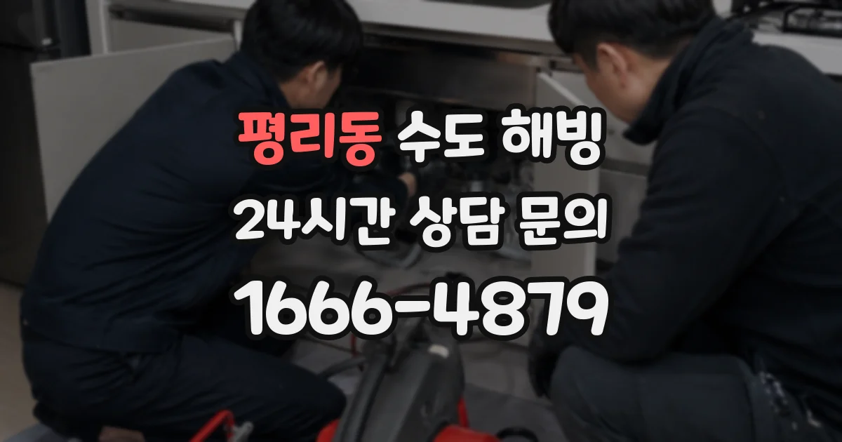 평리동 수도 해빙