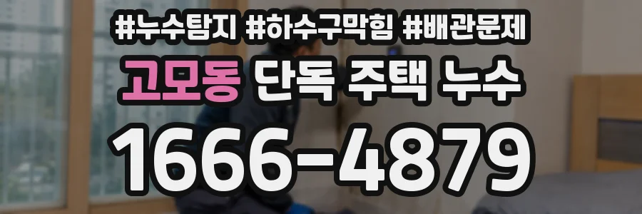 고모동 단독 주택 누수