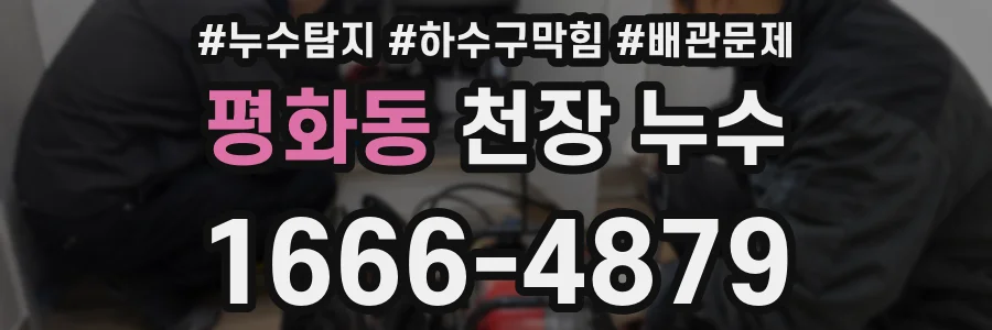 평화동 천장 누수