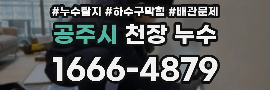 공주시 천장 누수