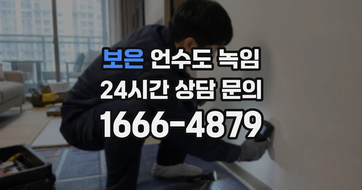 보은 언수도 녹임