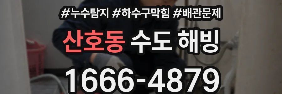 산호동 수도 해빙