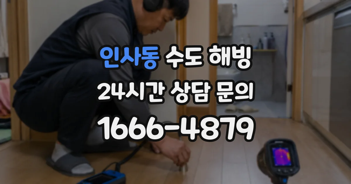 인사동 수도 해빙