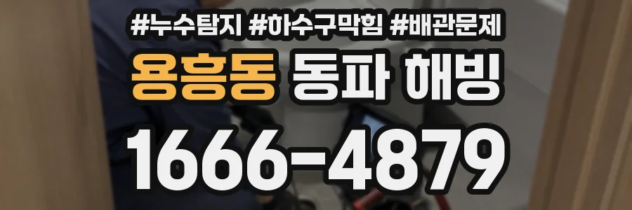 용흥동 동파 해빙