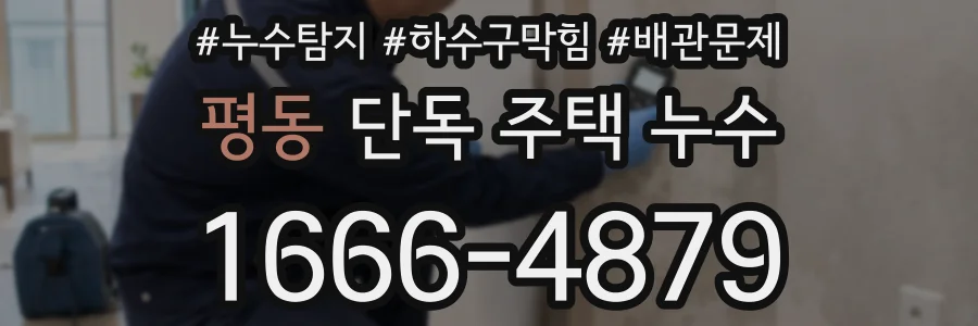 평동 단독 주택 누수