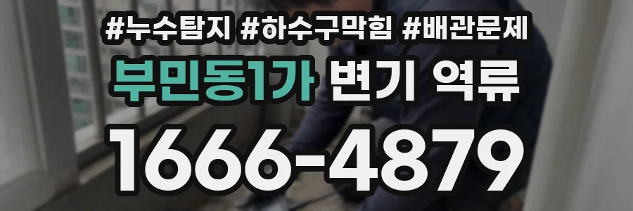 부민동1가 변기 역류