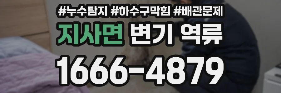 지사면 변기 역류
