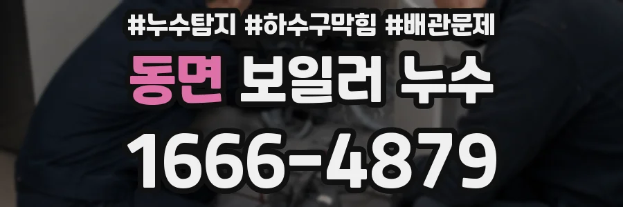 동면 보일러 누수