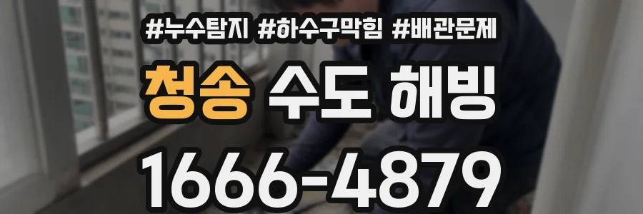 청송 수도 해빙
