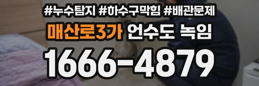 매산로3가 언수도 녹임