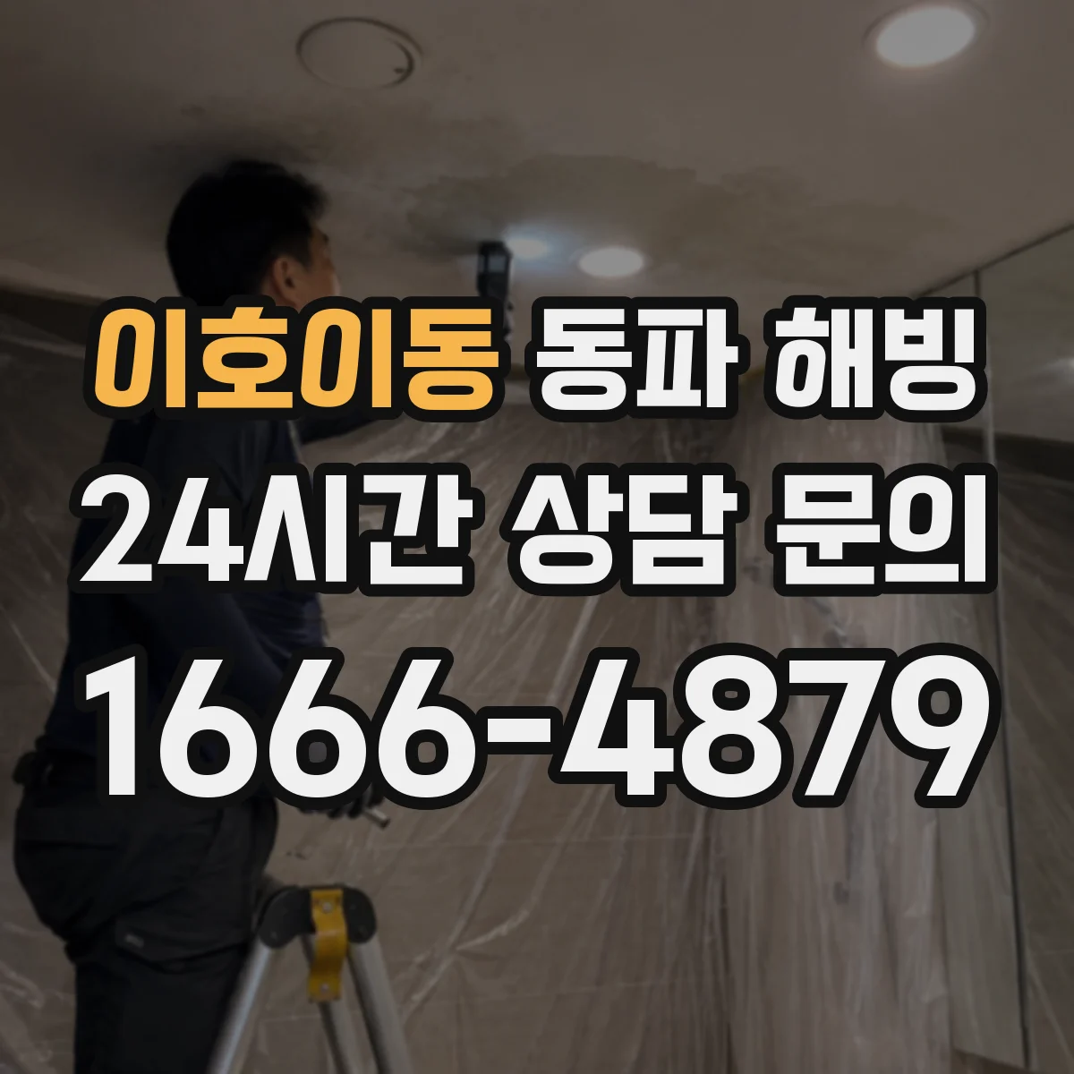이호이동 동파 해빙