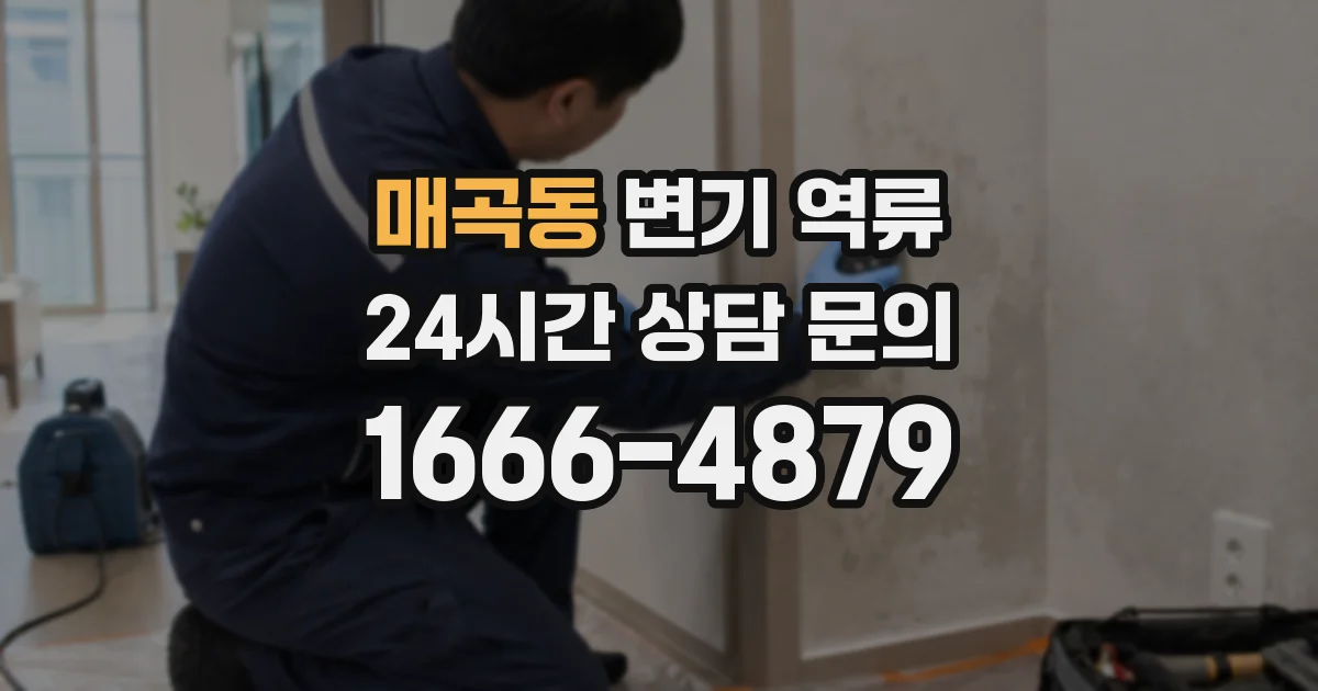 매곡동 변기 역류