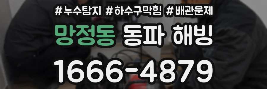 망정동 동파 해빙