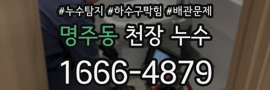 명주동 천장 누수