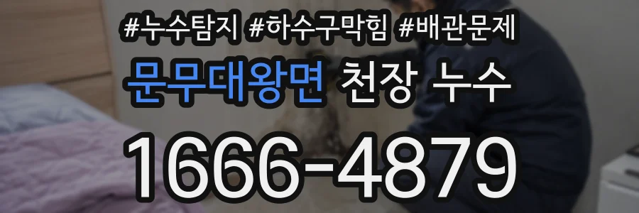 문무대왕면 천장 누수