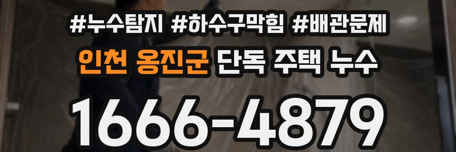 인천 옹진군 단독 주택 누수