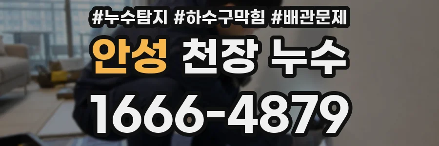 안성 천장 누수