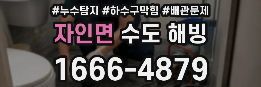 자인면 수도 해빙