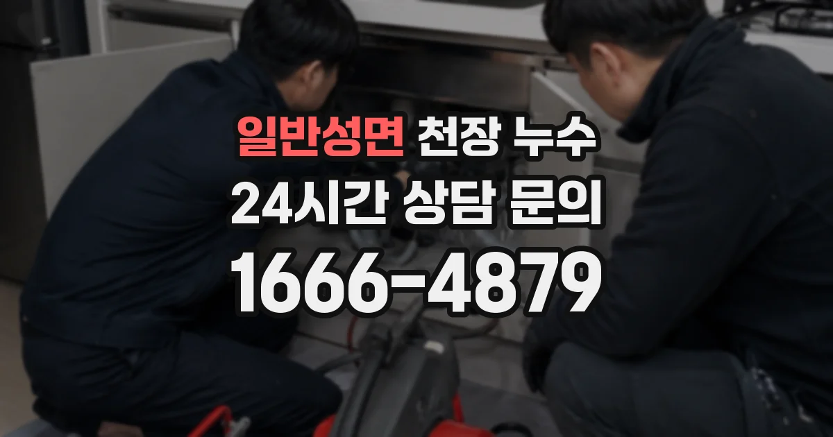일반성면 천장 누수