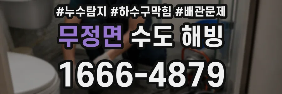 무정면 수도 해빙