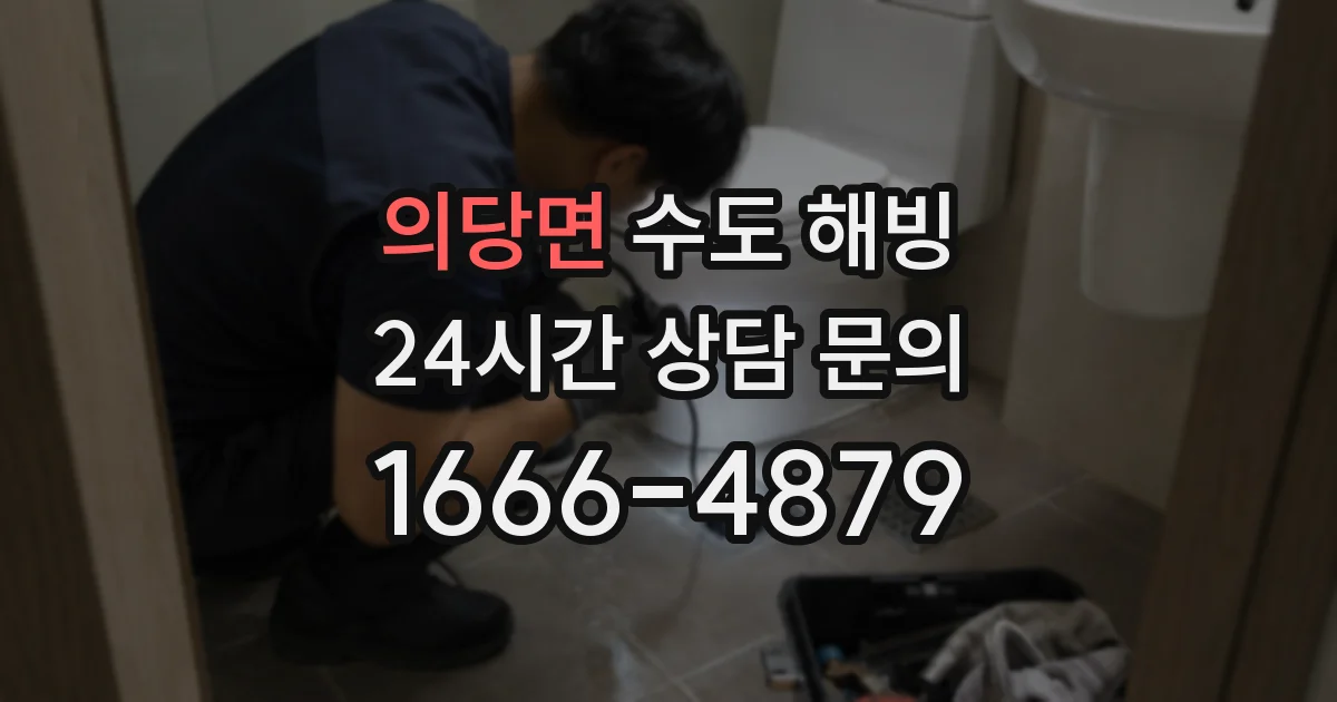 의당면 수도 해빙