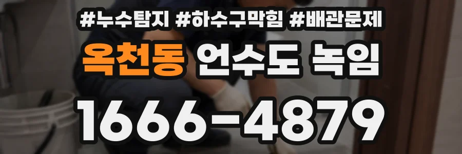 옥천동 언수도 녹임