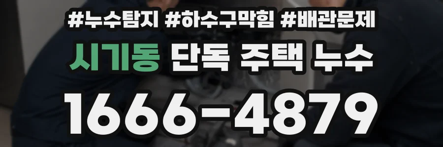 시기동 단독 주택 누수