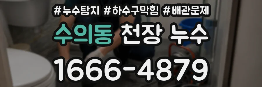 수의동 천장 누수