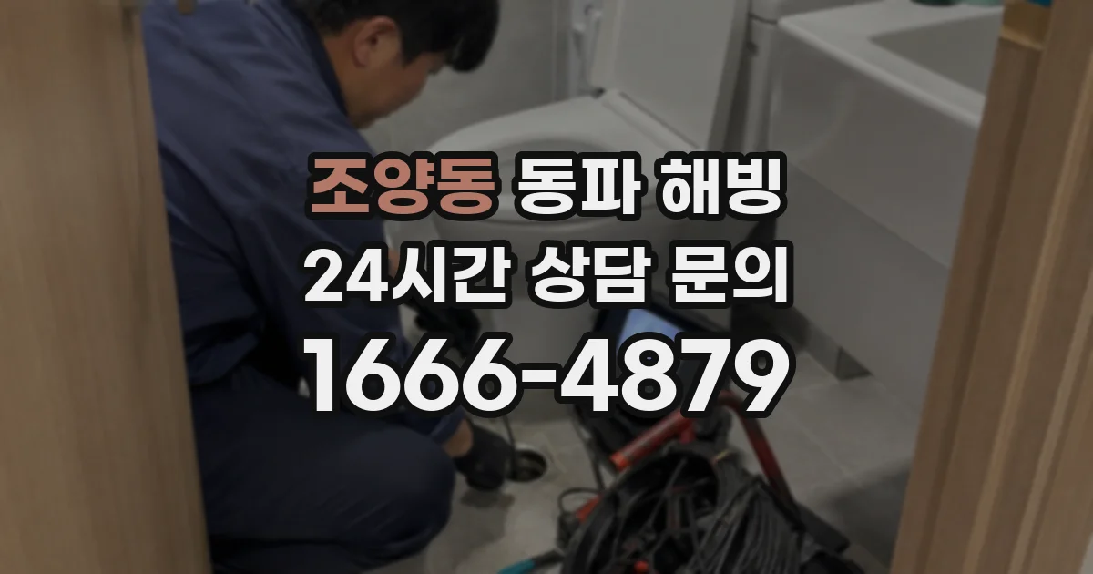 조양동 동파 해빙