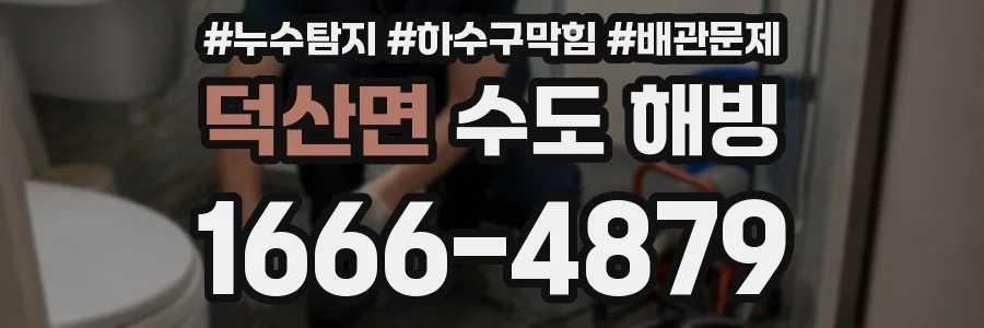 덕산면 수도 해빙