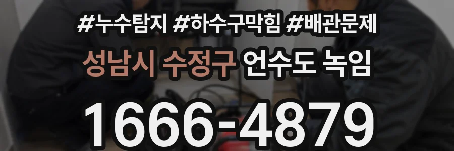 성남시 수정구 언수도 녹임