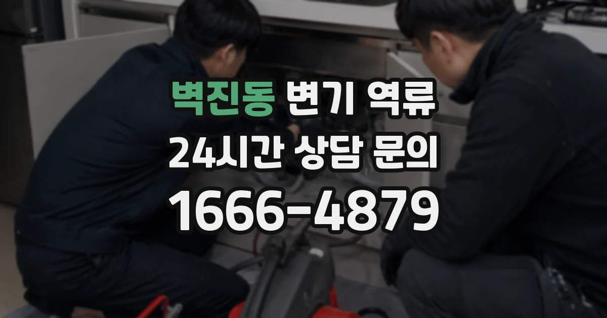 벽진동 변기 역류